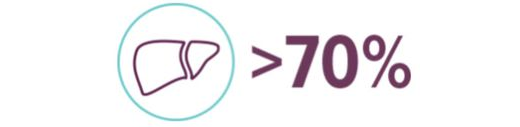 Piktogramm einer Leber neben dem Text '>70%' in lila Schrift