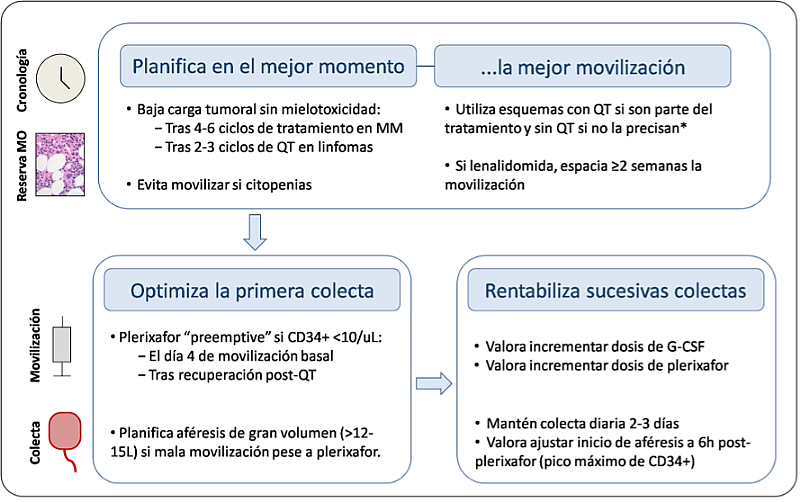 consecuencias-movilizacion