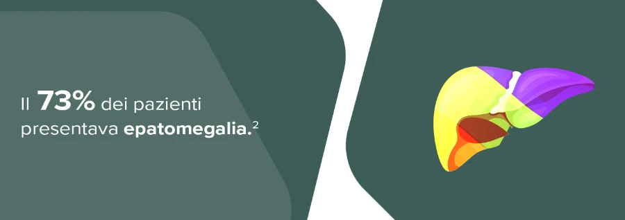 epatosplenomegalia-2