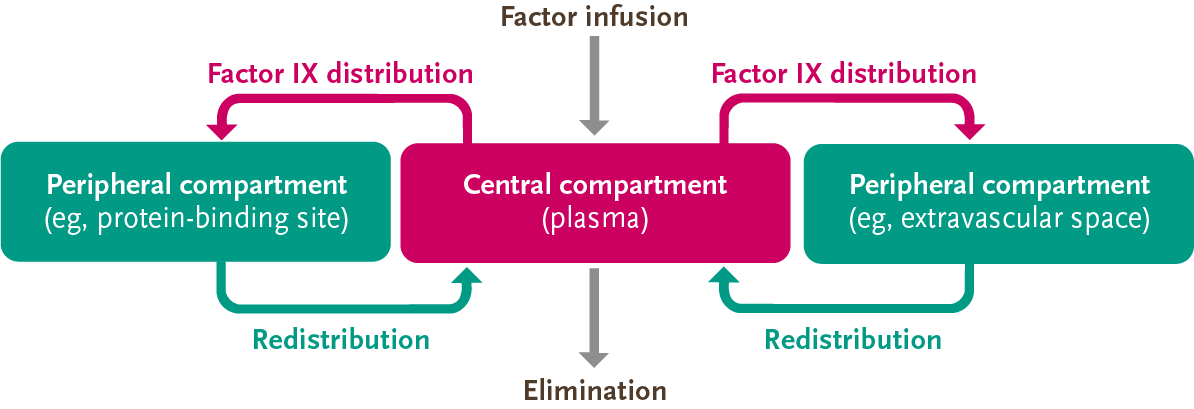 Factor IX 3-compartment model