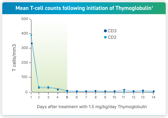 Line graph showing mean T-cell counts after Thymoglobulin treatment (1.5 mg/kg/day). The x-axis shows days 0 to 14, and the y-axis shows mean T cells/mm³ (0–500). A blue dotted line represents CD3 T cells and a navy dotted line represents CD2 T cells. Both start between 300-400/mm³, drop sharply in the first two days, and remain low through day 14.