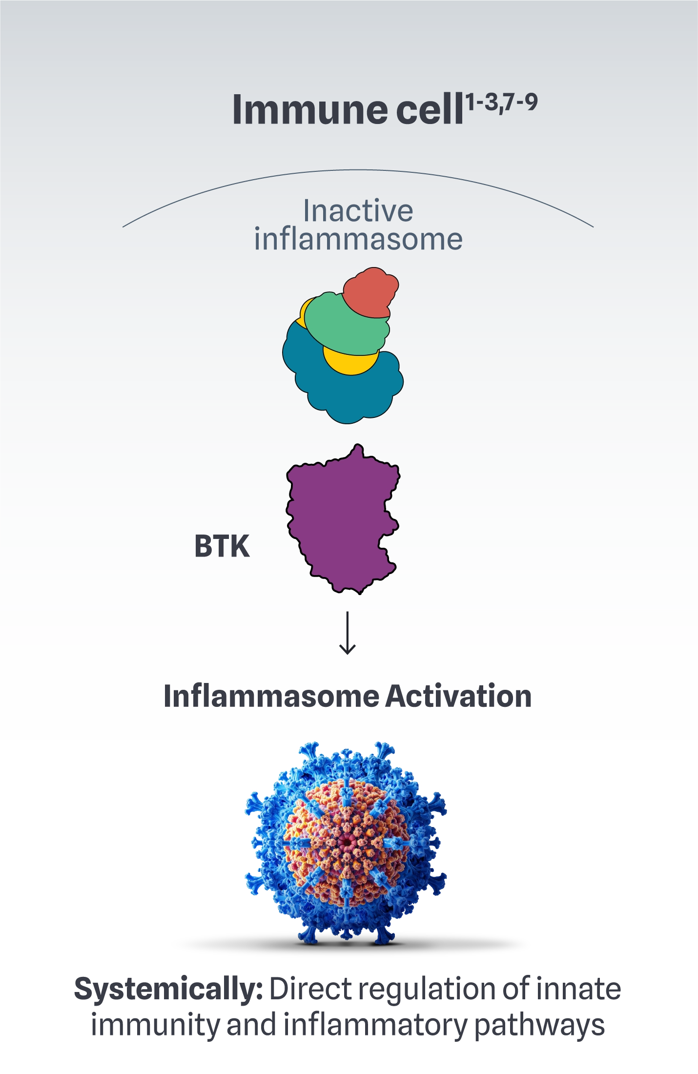 Illustration showing the role of BTK in activating the inflammasome.