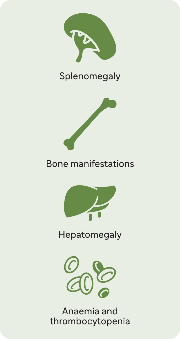 Visual of potential complications of Gaucher disease
