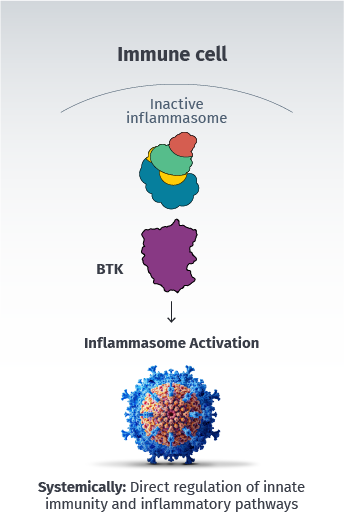 BTK plays a role in activating the inflammasome.