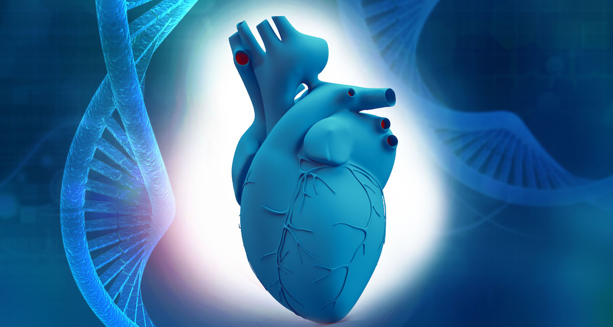 Cardiogenetics