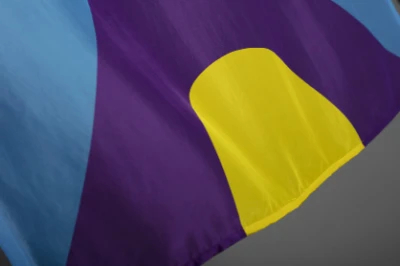 proteger-contra-meningitis-bandera