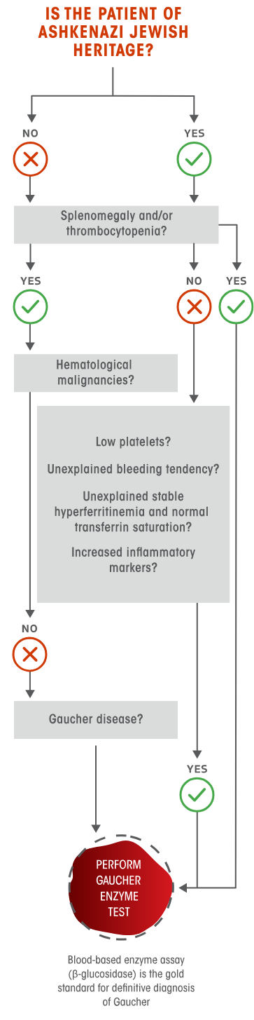 Diagram of a diagnostic algorithm for when to test for Gaucher disease, starting with Ashkenazi Jewish heritage and considering splenomegaly, thrombocytopenia, hematological malignancies, and other biomarkers.
