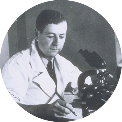 1946