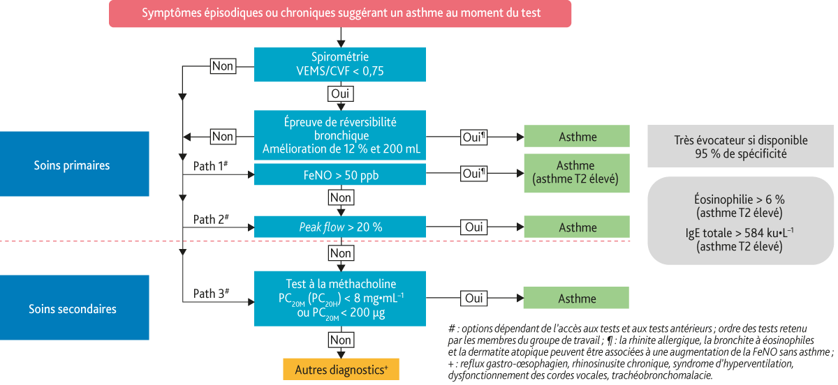 Figure 1. Algorithme diagnostique de l’asthme chez des patients adultes présentant des symptôme