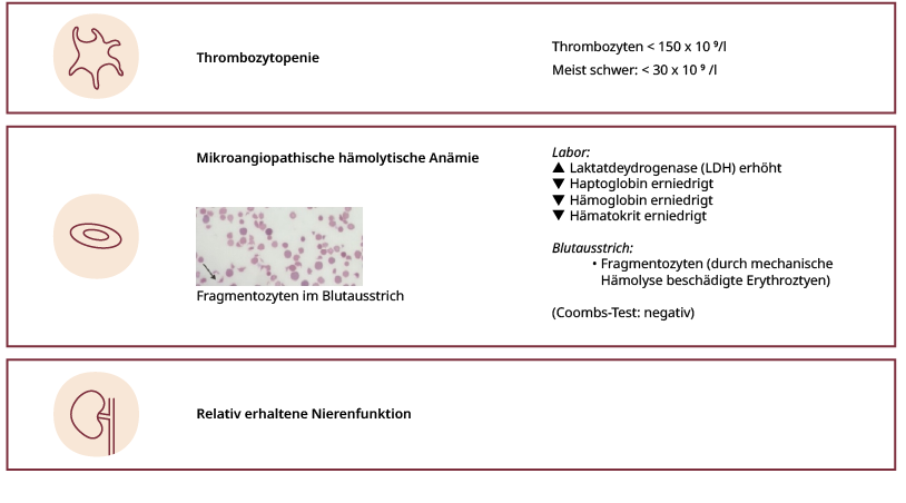 TTP sollte man in Betracht ziehen bei Thrombozytopenie, mikroangiopatische hämolytische Anämie, relativ gut erhlatener Nierenfunktion