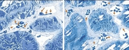 compressed image size