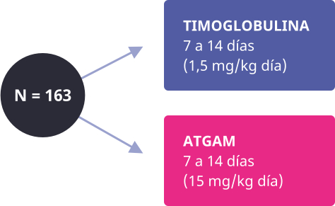 tratamiento-rechazo-agudo-trasplante-renal-2