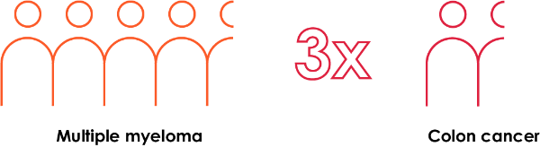 asset 203 2x 20 2