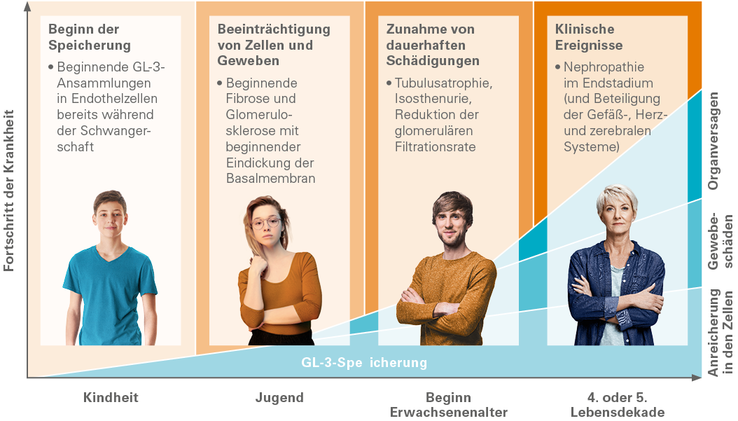 Infografik zeigt vier Lebensabschnitte mit jeweils einer Person und Symptombeschreibungen zu Morbus Fabry und Nierenschäden, von Kindheit bis 4. oder 5. Lebensdekade.