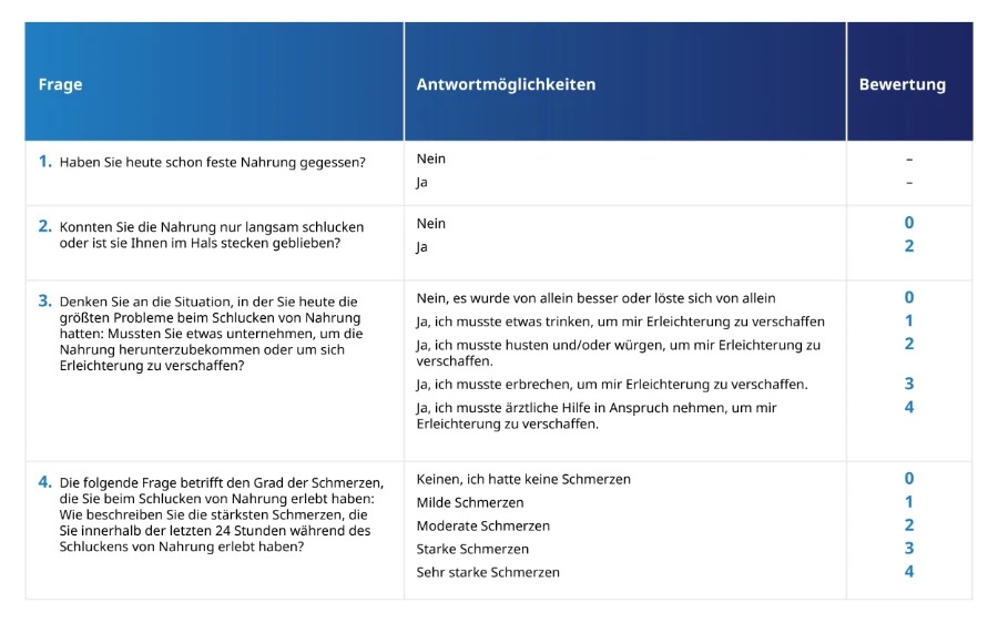DSQ-Fragebogen