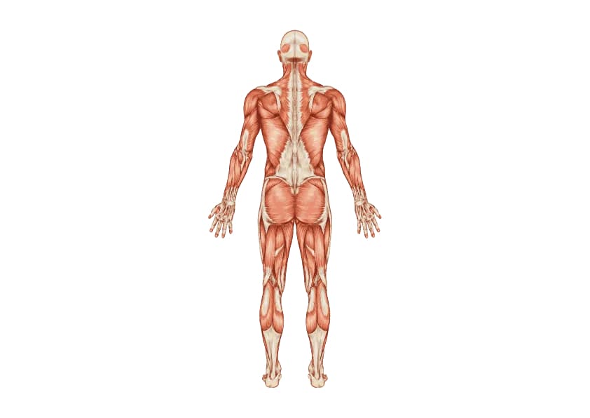 compressed image size