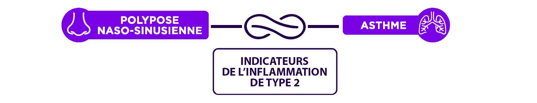 Schéma illustrant le lien entre la polypose naso-sinusienne et l'asthme, reliés par des indicateurs communs de l'inflammation de type 2.