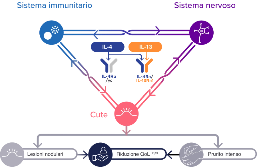 Diagramma