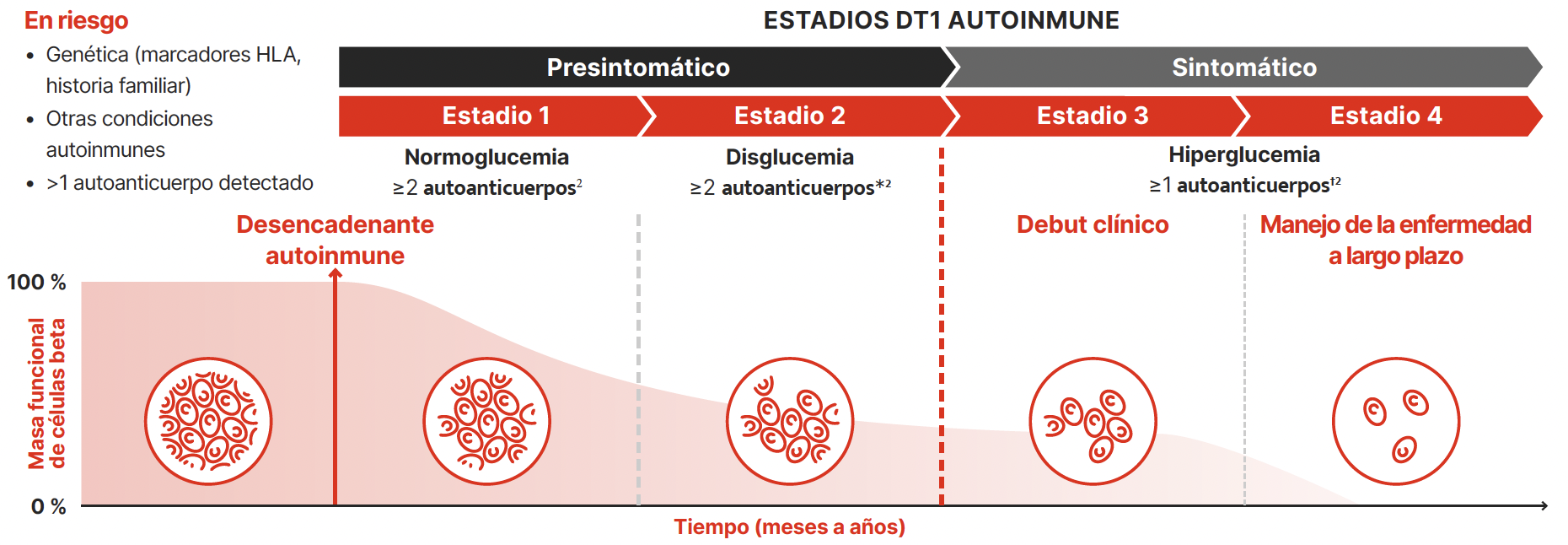 grafico DT1 paso por delante