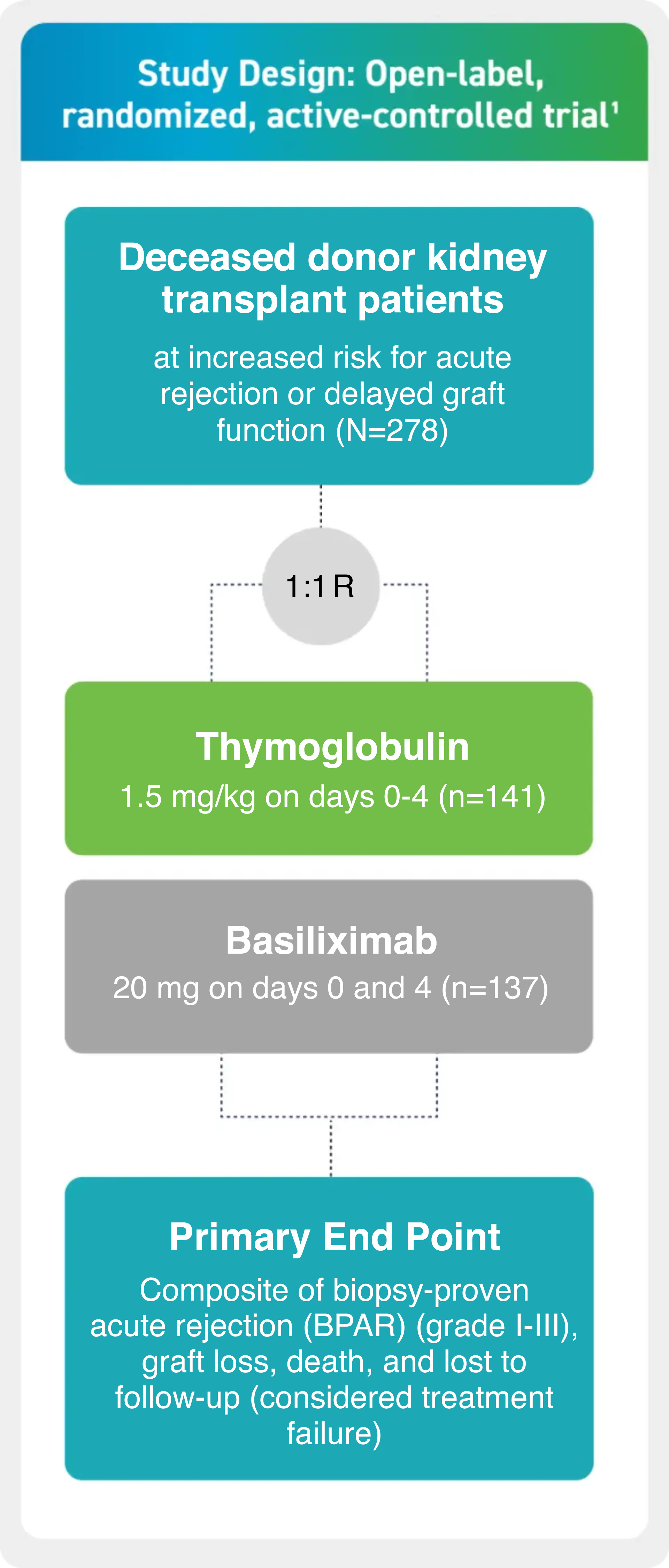 A schematic diagram titled "Study Design: Open-label, randomized, active-controlled trial¹." On the left, a teal box reads: "Deceased donor kidney transplant patients at increased risk for acute rejection or delayed graft function (N=278)." A circle in the center shows "1:1 R." To the right of the circle, two treatment boxes appear: a green box labeled "Thymoglobulin 1.5 mg/kg on days 0–4 (n=141)" and a gray box labeled "Basiliximab 20 mg on days 0 and 4 (n=137)." On the far right, a teal box labeled "Primary End Point" contains the text: "Composite of biopsy-proven acute rejection (BPAR) (grade I–III), graft loss, death, and lost to follow-up (considered treatment failure)."