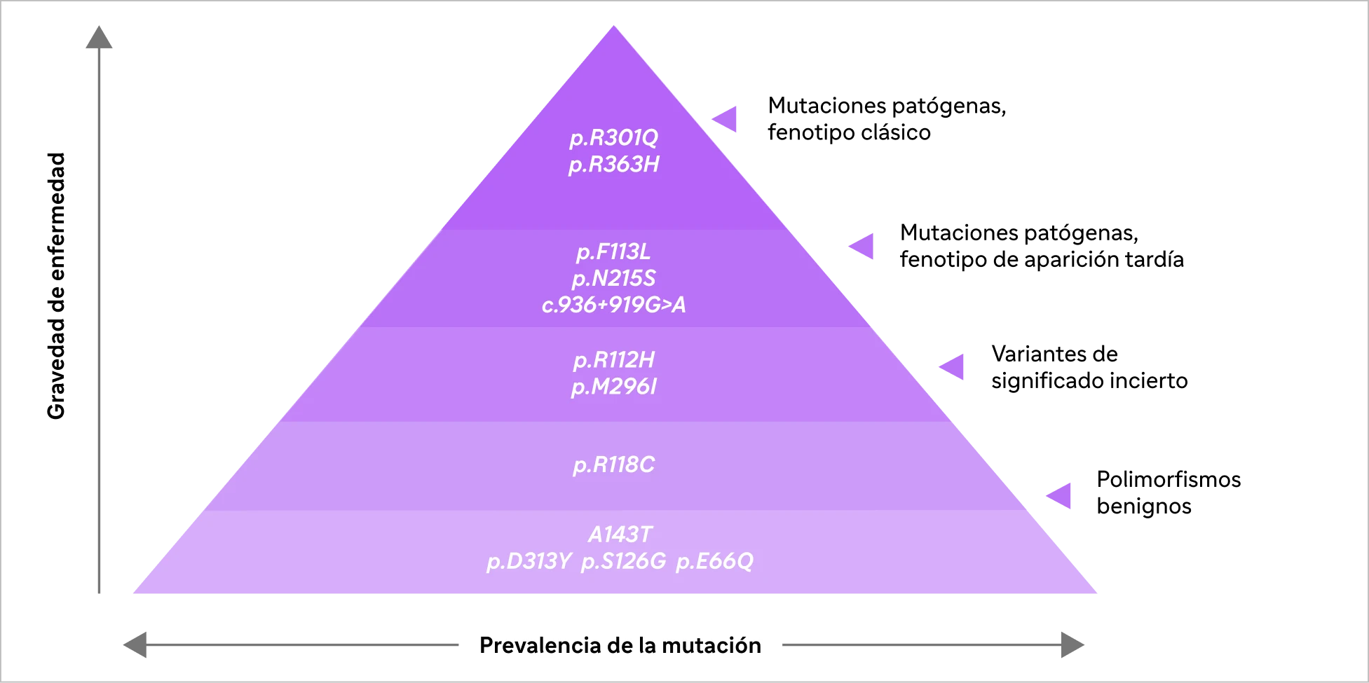 Pirámide de mutaciones del gen GLA en la enfermedad de Fabry, según gravedad y prevalencia: mutaciones patógenas de fenotipo clásico y tardío, variantes de significado incierto y polimorfismos benignos