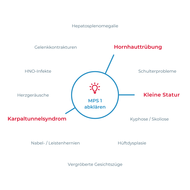 Kreisdiagramm mit Symptomen rund um den Begriff 'MPS 1 abklären', darunter hervorgehoben: 'Hornhauttrübung', 'Kleine Statur' und 'Karpaltunnelsyndrom'.