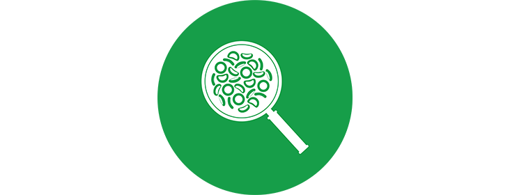 Icon of a RBCs in magnifying glass inside a green circle.