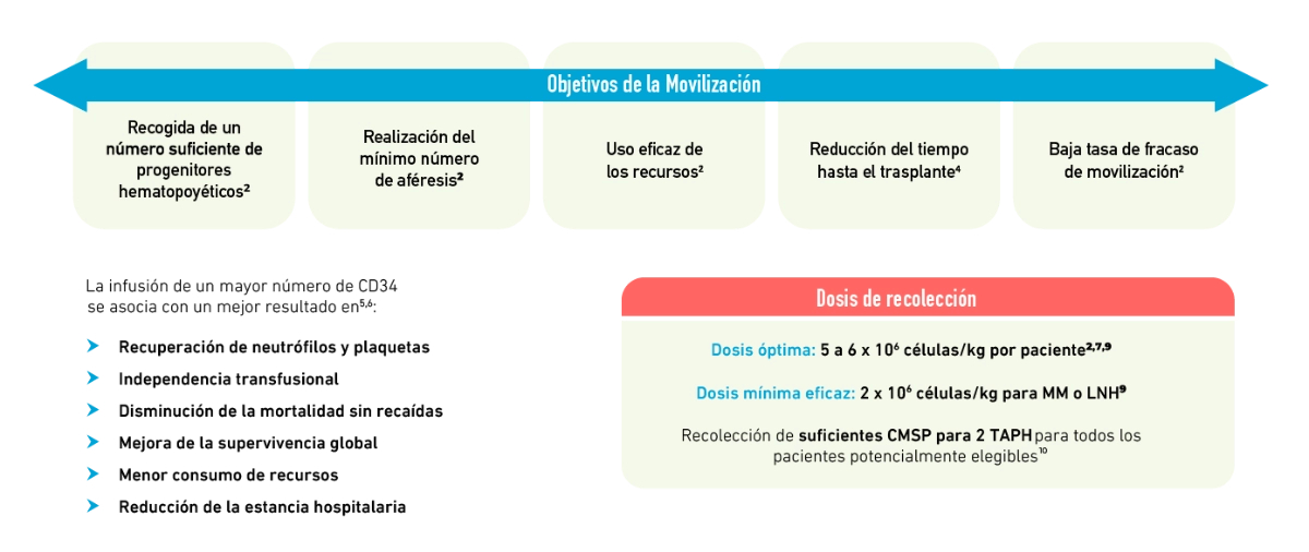 mozobil-mobilizacion-celulas-madre