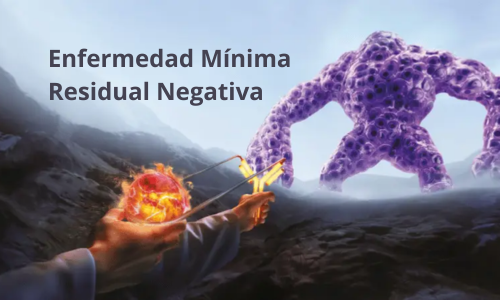 Sarclisa VRd y la EMR-