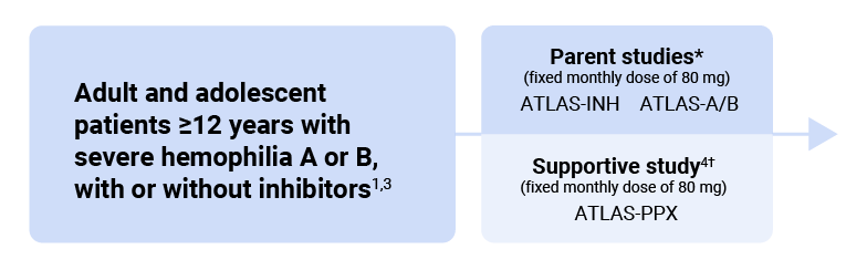 ATLAS Clinical trial program schematic. The program included two parent studies (ATLAS-INH and ATLAS-A/B) and a supportive study (ATLAS-PPX) enrolling adult and adolescent patients 12 years of age and alder with severe hemophilia A or B with or without inhibitors