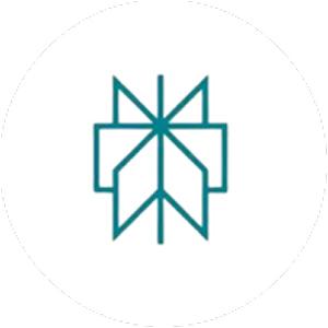 logo perplexity