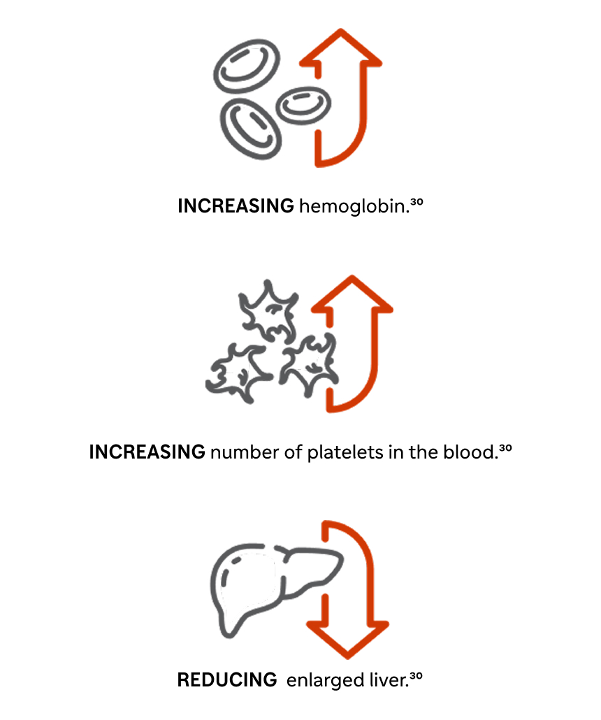 Icons: increasing red blood cells; increasing platelets; reducing enlarged liver