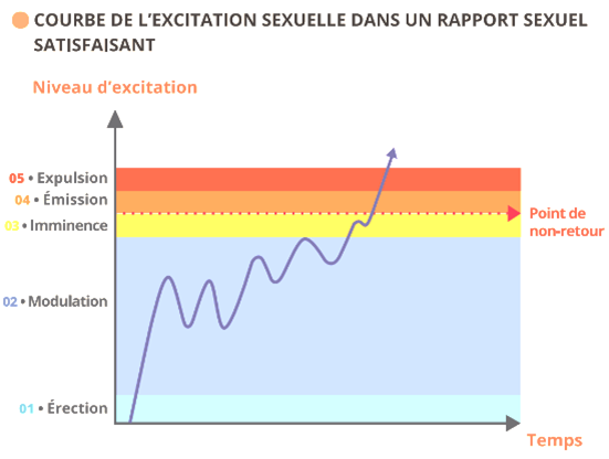 Courbe de l'excitation sexuelle dans un rapport sexuel