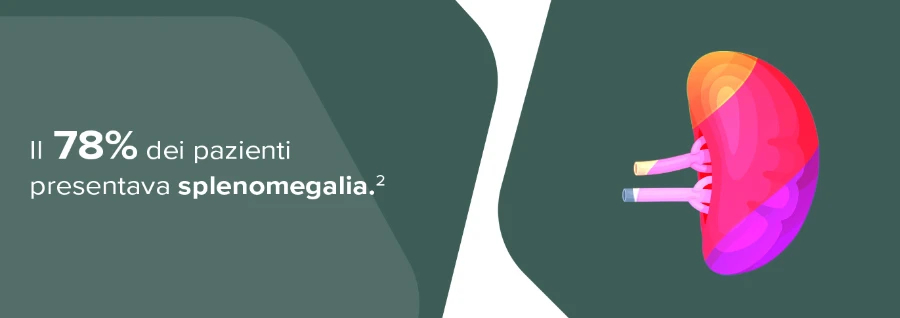 epatosplenomegalia-1