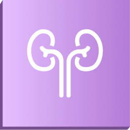 icono renal