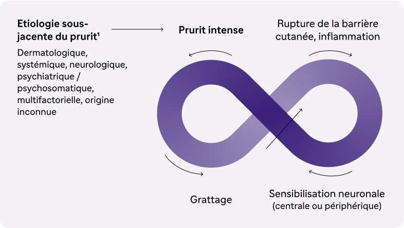schema-prurigo-nodulaire
