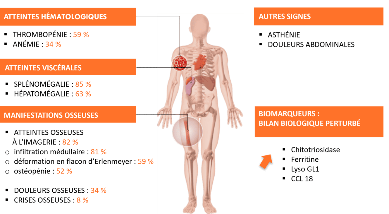 schema-atteintes-adulte