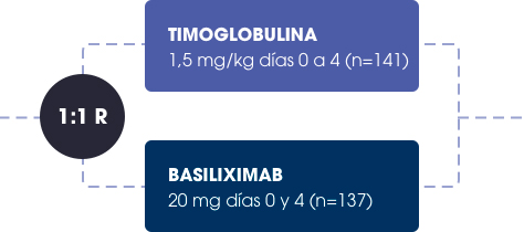 timoglobulina-tr-img