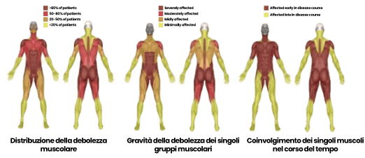 compressed image size