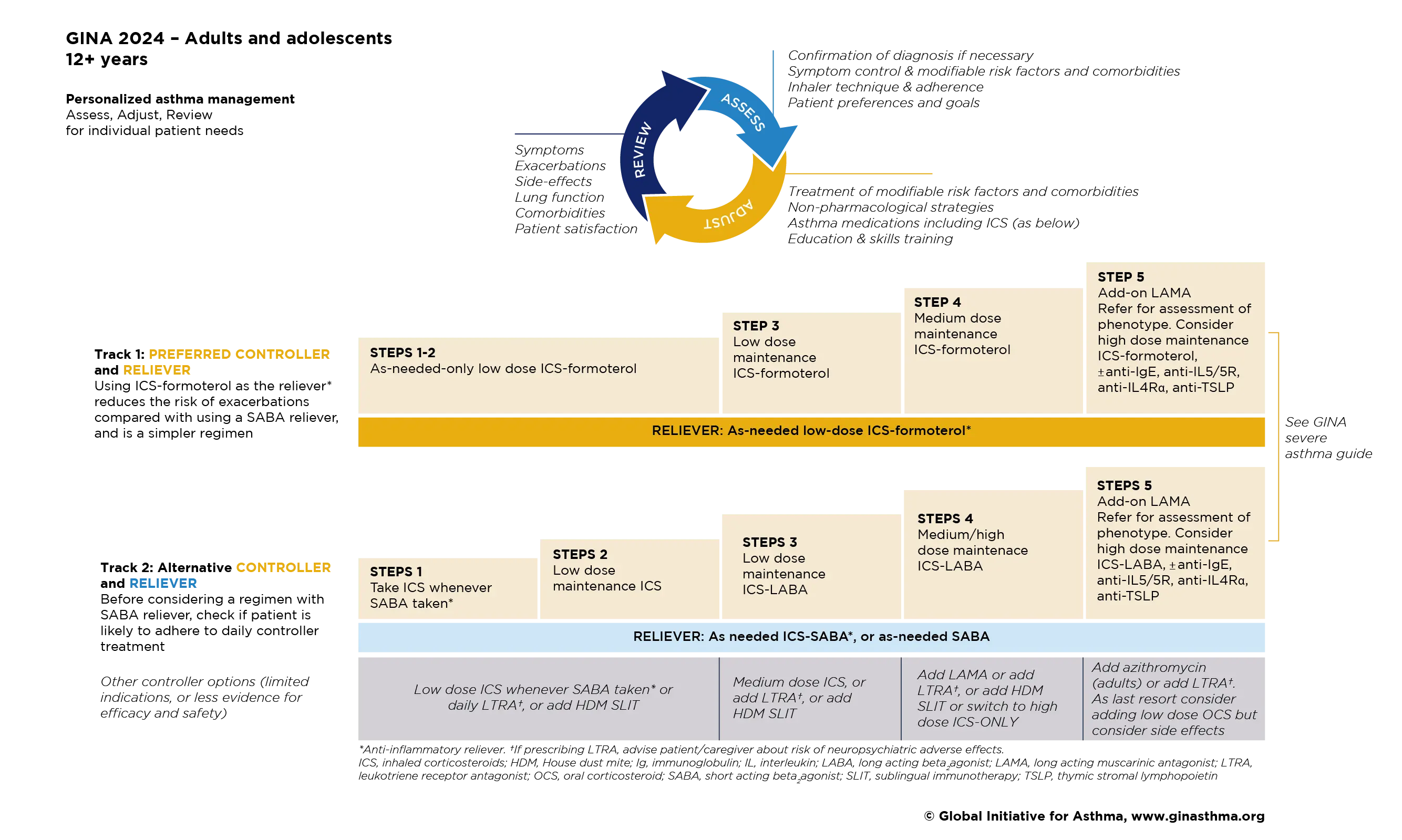 A graph representing Personalized management for adults and adolescents to control symptoms and minimize future risk.