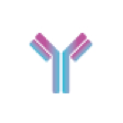 anticuerpo-accion-nirsevimab