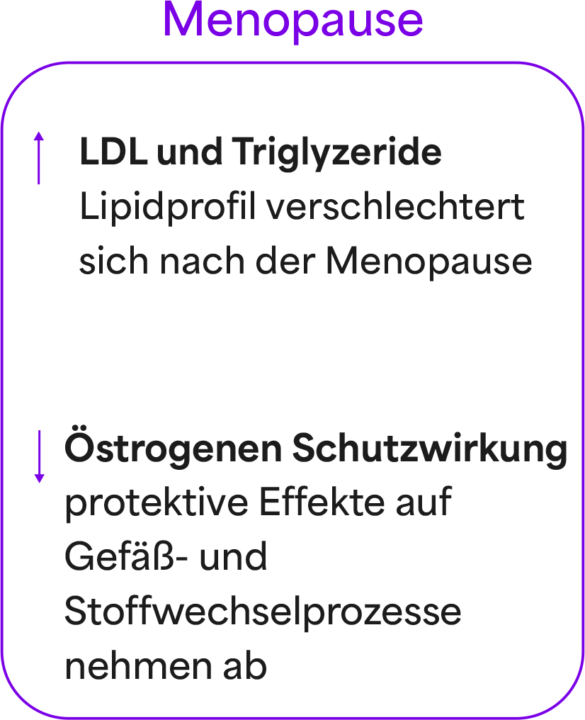 Veränderung des Lipidstoffwechsels in der Menopause: LDL-Cholesterin und Triglyzeride steigen, während die protektive Wirkung von Östrogen abnimmt