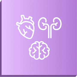 icono identificar