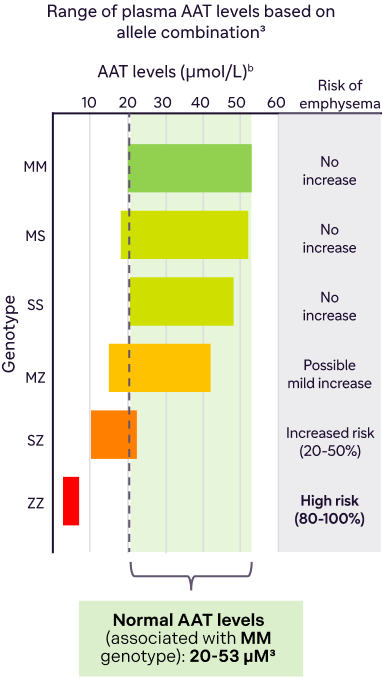 Bar chart showing typical range of AAT levels and associated relative emphysema risk by genotype, with a callout defining normal AAT levels in the MM genotype as 20 to 53 µM
