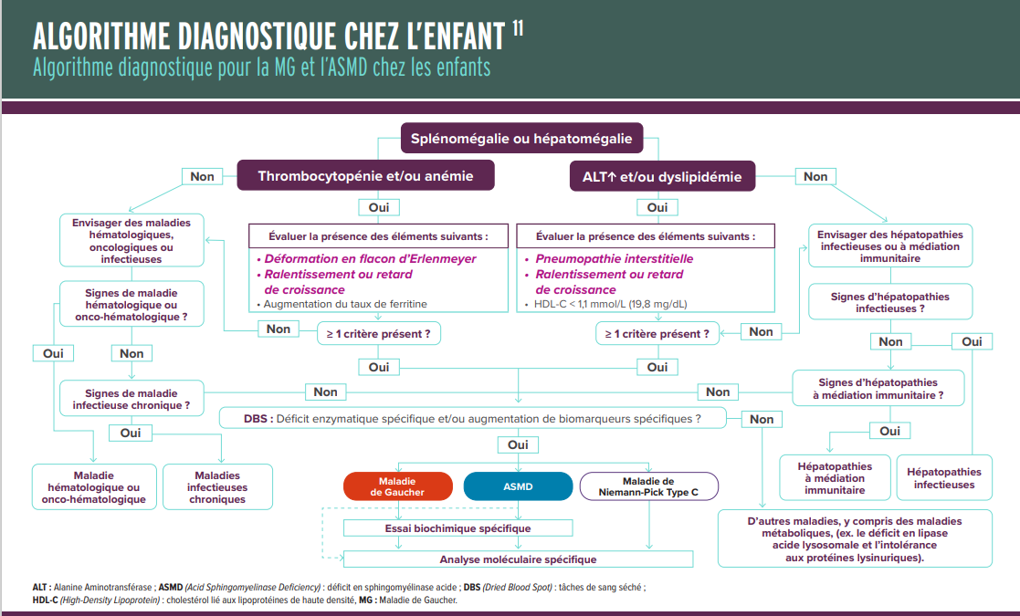 Vignette fiches