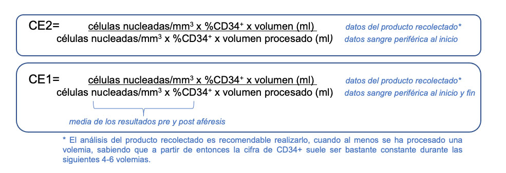 hemapoyetico-1