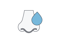 Icon of nose with a blood drop.
