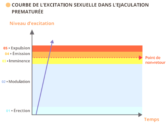 Courbe de l'excitation sexuelle dans l'éjaculation prématurée