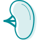 Spleen icon
