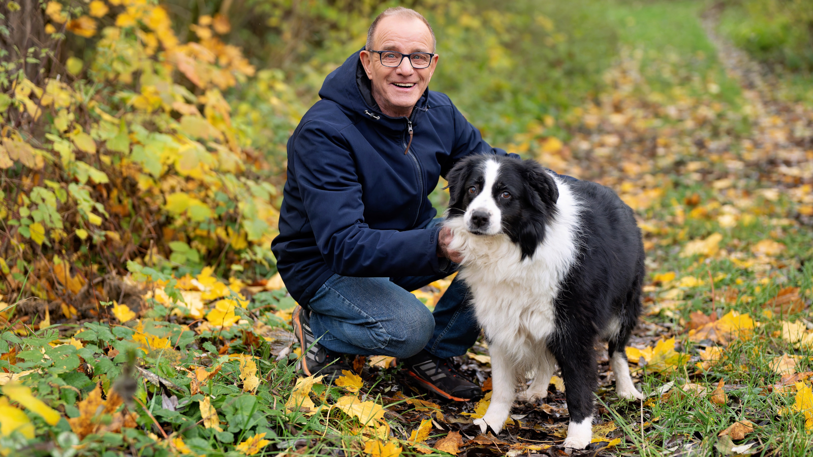 Mann in blauer Jacke kniet neben schwarz-weißem Border-Collie auf herbstlichem Waldweg mit gelben Blättern.